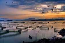 河源伴游中国网景点丰富(旅游网介绍)