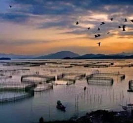 河源伴游中国网景点丰富(旅游网介绍)