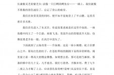 河源旅游感想(张家界旅游感想)