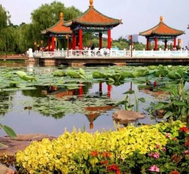 河源长春旅游攻略(长春旅游攻略必去景点地图)