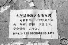 河源珠海伴游雇用网(珠海游览社雇用信息)