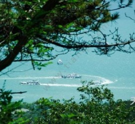 河源中国伴游网与你分享旅游的点滴(中国伴游网与你分享旅游的点滴是什么)