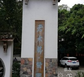 河源关于伴游中国伴游你们伴得是什么游的信息