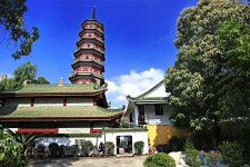 河源广州自由行(广州 自由行)