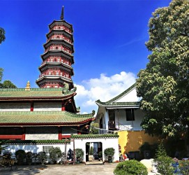 河源广州自由行(广州 自由行)