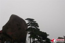 河源上海伴游私家陪游雇用女模(上海伴游私家陪游雇用女模特)