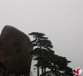 河源上海伴游私家陪游雇用女模(上海伴游私家陪游雇用女模特)