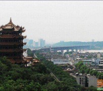 河源武汉游玩攻略(武汉游玩攻略ppt)