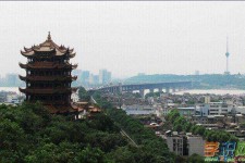 河源武汉游玩攻略(武汉游玩攻略ppt)