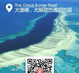 河源中国250家旅行社结伴游新西兰(新西兰当地旅行社)