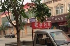河源上海伴游 用伴游造句大全(5