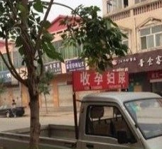 河源上海伴游 用伴游造句大全(5