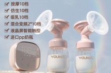河源奶模(奶模型)