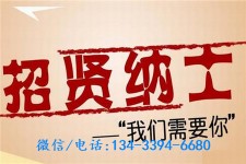 河源酒店雇用伴游(酒店雇用伴游办事员)