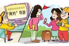 河源伴游是什么