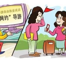 河源伴游是什么