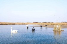 河源南昌附近伴游小妹兼职(1534939978姐的微信德惠市)