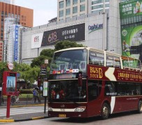 河源上海私人伴游 上海过年怎么玩？这些“微游”线路了解下→