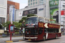河源上海私人伴游 上海过年怎么玩？这些“微游”线路了解下→