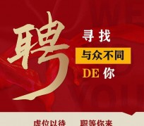 河源商务伴游招聘 重庆星级酒店诚招司机服务员夜场保安
