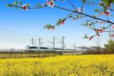 河源高铁游(高铁游戏下载手机版)