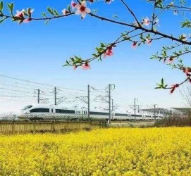 河源高铁游(高铁游戏下载手机版)