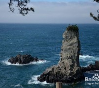 河源旅游全攻略(上海旅游全攻略)