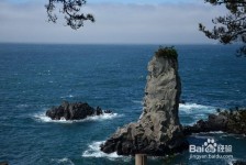 河源旅游全攻略(上海旅游全攻略)
