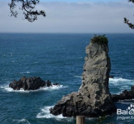 河源旅游全攻略(上海旅游全攻略)