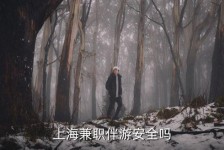 河源上海私人伴游 上海伴游，上海兼职伴游安全吗
