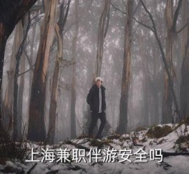 河源上海私人伴游 上海伴游，上海兼职伴游安全吗