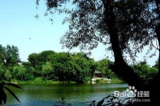 河源西湖旅游攻略(上海到杭州西湖旅游攻略)