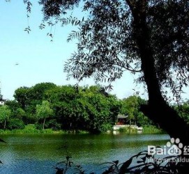 河源西湖旅游攻略(上海到杭州西湖旅游攻略)