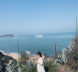 河源厦门周边游(厦门及周边旅游攻略)