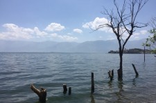 河源洱海旅游攻略(洱海旅游攻略自由行)