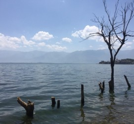 河源洱海旅游攻略(洱海旅游攻略自由行)