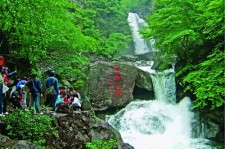 河源安吉旅游攻略(湖州安吉旅游攻略)
