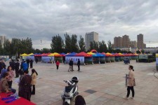 河源通辽伴游雇用(哈尔滨伴游雇用)