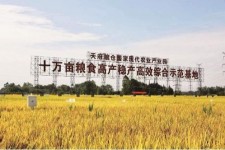 河源关于成都商务伴游外围雇用的信息