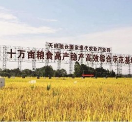 河源关于成都商务伴游外围雇用的信息