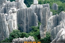 河源贵阳市游览社英语伴游雇用(贵阳市前十名游览社是哪几家)