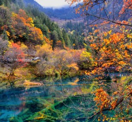 河源四川旅游攻略(四川旅游攻略十五日游)
