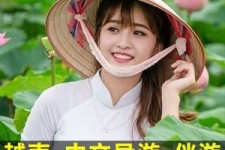 河源日本关东伴游中国(日本关西旅行)