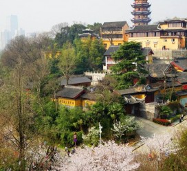 河源南京周边游(南京周边游景点大全 自驾车旅游)