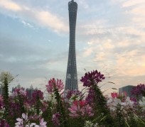 河源广州旅游攻略(杭州到广州旅游攻略)