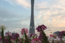 河源广州旅游攻略(杭州到广州旅游攻略)