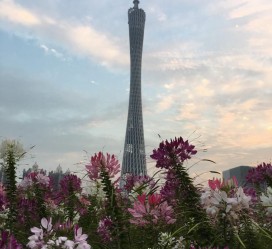 河源广州旅游攻略(杭州到广州旅游攻略)