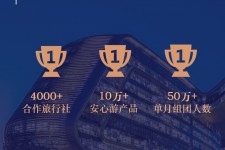 河源上海私人伴游 ​ “小而美”的新时代：2020年国内新跟团消费报告