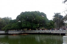 河源福州旅游攻略(福州旅游攻略二日游)