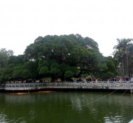 河源福州旅游攻略(福州旅游攻略二日游)